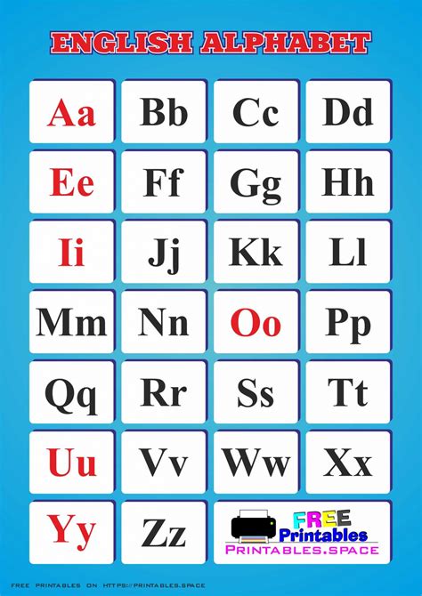 22nd letter of the alphabet|English Alphabet .